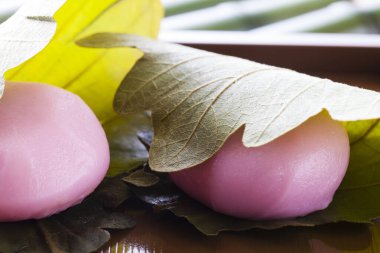 Sakura Mochi, Japon geleneksel şekerleme. Tuzlu yapraklarla sarılmış.