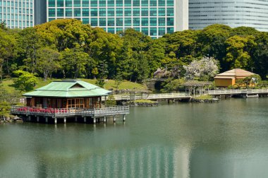 Tokyo, Japonya 'daki yeşil şehir parkı.
