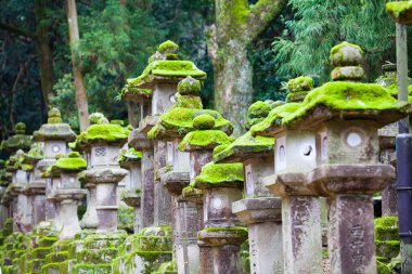 Antik taş fenerler açık havada canlı yeşil yosunlarla kaplıdır.