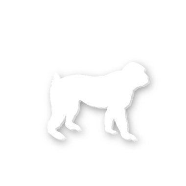 Grafik çizimi. Çin maymun yılı işareti 