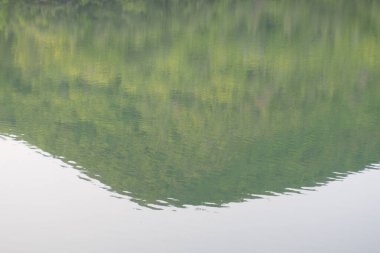 Nehir ve yeşil yemyeşil bitki örtüsüyle güzel bir manzara.