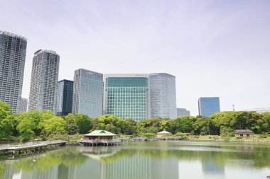 Tokyo, Japonya 'daki Hama-rikyu bahçeleri.