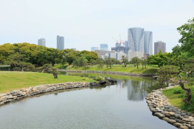 Tokyo, Japonya 'daki Hama-rikyu bahçeleri.