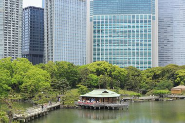 Tokyo, Japonya 'daki Hama-rikyu bahçeleri.