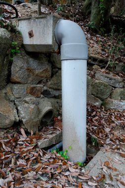 Büyük beyaz drenaj borusu açık havada dökülen yaprakların arasında ortaya çıkıyor.