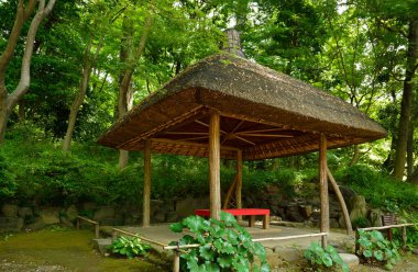 Yaz bahçesinde geleneksel Japon oyuğu