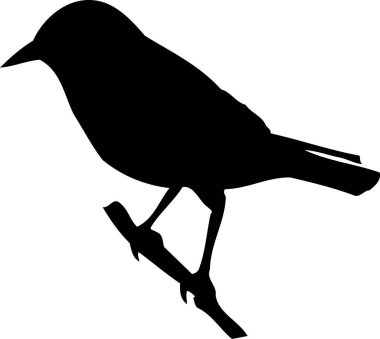 Beyaz arkaplanda kuşun siyah silueti 