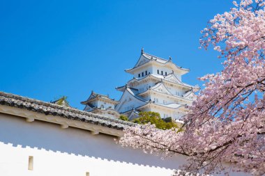 Osaka, Japonya Osaka Kalesi bahar mevsiminde 