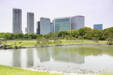 Tokyo, Japonya 'daki Hama-rikyu bahçeleri.