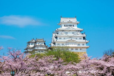 Osaka, Japonya Osaka Kalesi bahar mevsiminde 