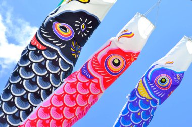 Gökyüzünde Balık Rüzgarlığı, Japonya