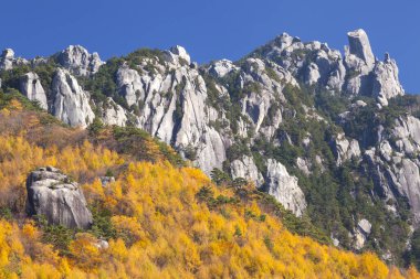 Dağlardaki dağ manzarası