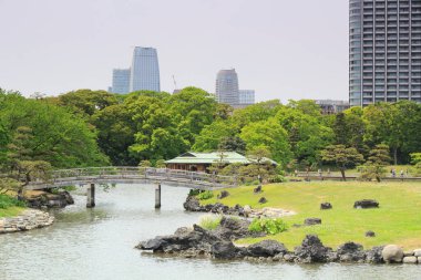 Tokyo, Japonya 'daki Hama-rikyu bahçeleri.