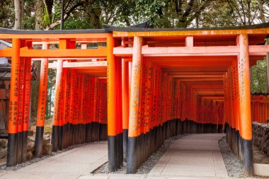 Japonya, Kyoto 'daki Fushimi inari tapınağında güzel kırmızı kapılar.
