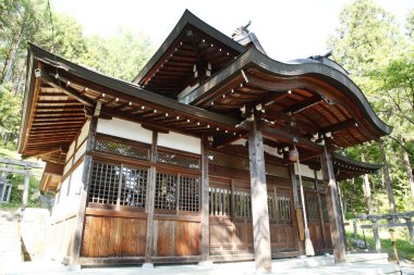 Eski bir Japon türbesinin nefes kesici sahnesi