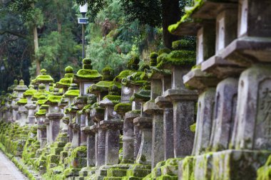 Japonya 'nın Nara kentindeki Kasuga Taisha Tapınağı' na giden yol boyunca yosun kaplı taş fenerler.