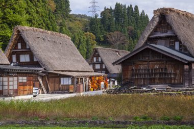 shirakawa - awa bir unesco dünya mirası sitesi. Giawa, Rakgo 'daki en popüler evlerden biri.