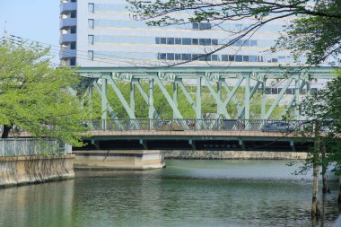 Koto City, Tokyo, Japonya 'daki Fukuju Köprüsü. 