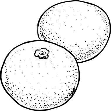 Mandalina ana hatları çizim, gıda konsepti