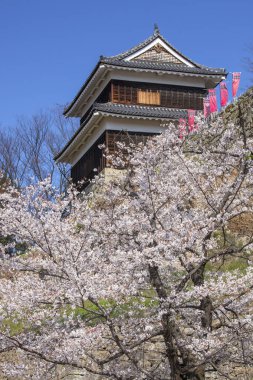 Chureito Pagoda Bahar, Fujiyoshida, Japonya