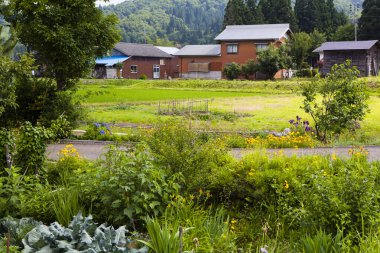 Kırsal kesimdeki geleneksel Japon mimarisinin güzel manzarası 
