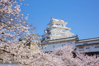 Osaka, Japonya Osaka Kalesi bahar mevsiminde 