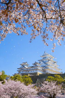 Osaka, Japonya Osaka Kalesi bahar mevsiminde 