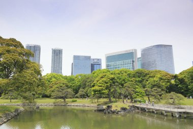 Tokyo, Japonya 'daki Hama-rikyu bahçeleri.