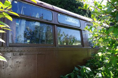 Eski çöp kamyonu yoğun yeşil bitki örtüsüyle kaplanmış.