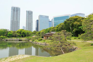 Tokyo, Japonya 'daki Hama-rikyu bahçeleri.