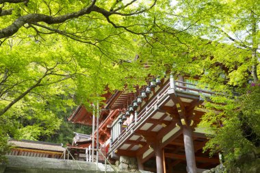 Yeşil dalları olan tapınağın mimarisinin çatısı.