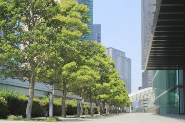 Gökdelenler mavi gökyüzünde