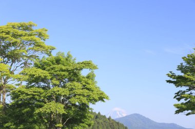 Güzel dağları ve mavi gökyüzü olan yeşil orman 