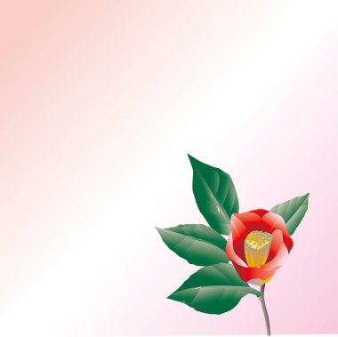 Işık zemininde yeşil yapraklı güzel kırmızı çiçeğin fotokopi alanı ile yakın plan görüntüsü 