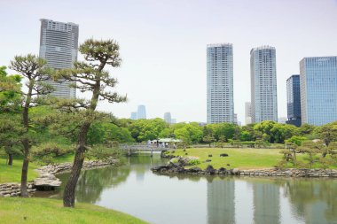 Tokyo, Japonya 'daki Hama-rikyu bahçeleri.