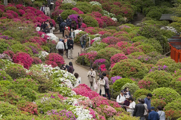 Kyoto, Japonya 'daki Japon bahçesi..