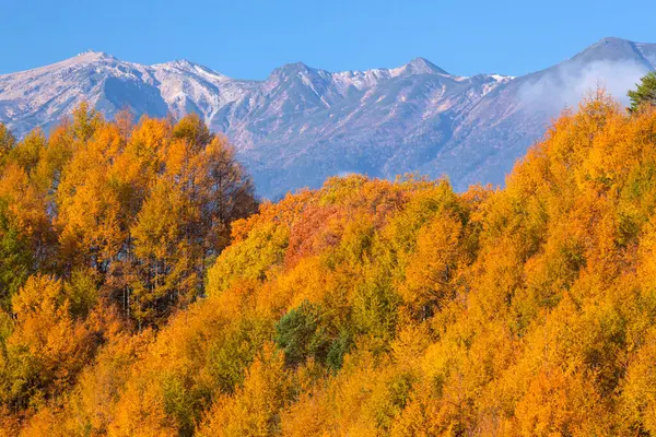 秋天美丽的山景 — 图库照片