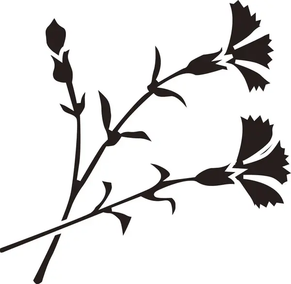 Silhouet Van Bloemen Geïsoleerd Witte Achtergrond — Stockfoto