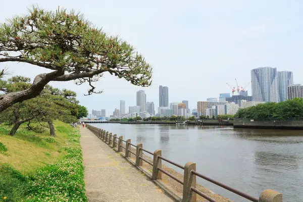 stock image Buildings and bridges along Sumida river, Japan. 