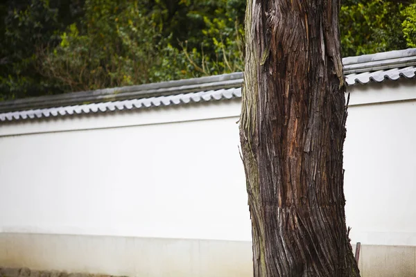 日本传统房顶 — 图库照片