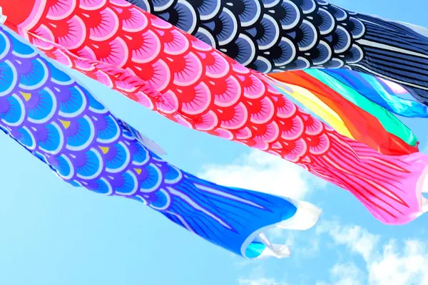 日本天空中的鱼类风袜 — 图库照片