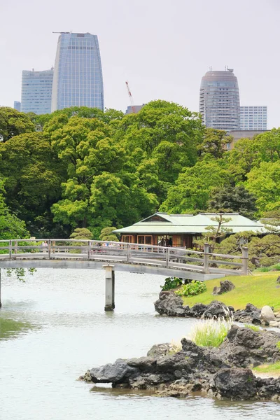 Сады Хама Рикю Токио Япония — стоковое фото
