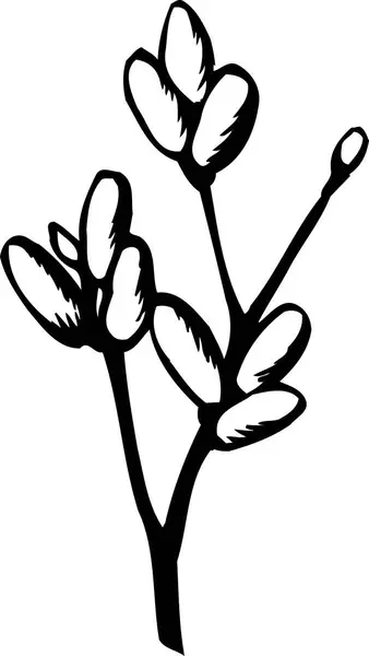 黑白日本风格的花卉插画 — 图库照片