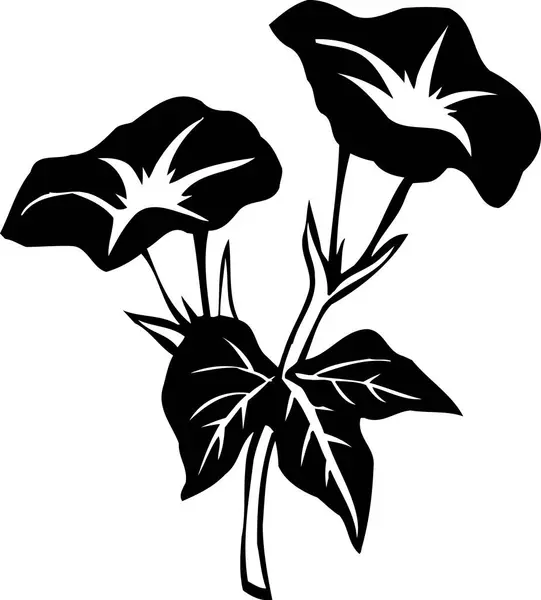 Çiçeksel Elementlerle Siyah Beyaz Japon Stili Çizimler — Stok fotoğraf