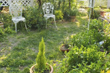 Bahçe yolu yeşil dekoratif bitkilerle dolu