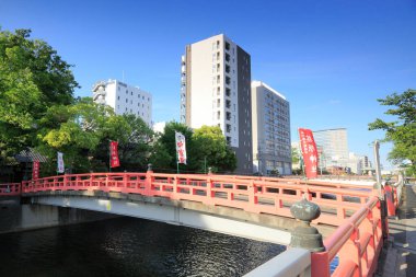Japonya 'nın uçsuz bucaksız şehri, öğlen güneşinin yüksek yoğunluklu ışığıyla yıkanır..