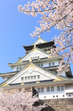 Japonya 'daki güzel mimari ve kiraz çiçeği