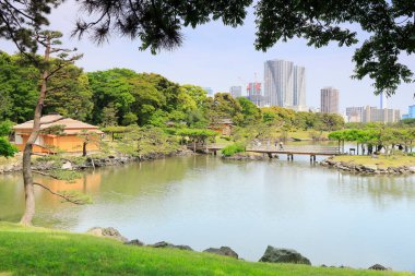 Tokyo, Japonya 'daki Hama-rikyu bahçeleri.