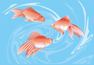 Sualtı Yüzme balık gösterimi