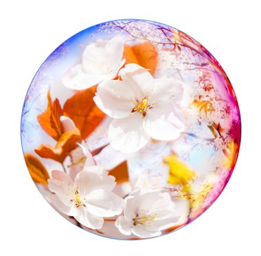 Güzel bahar çiçekleri ve çiçek yaprakları olan çiçek manzaralı duvar kağıtları.          